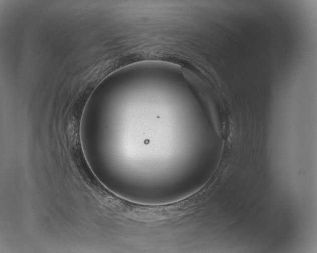 X0000077360029200610201334