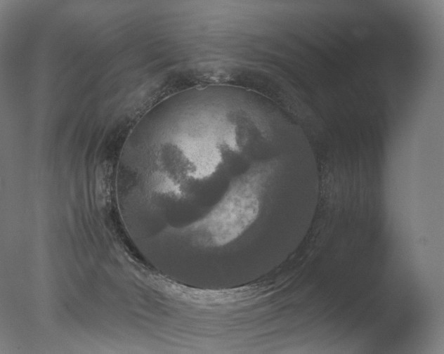 X0000077360030200610201334