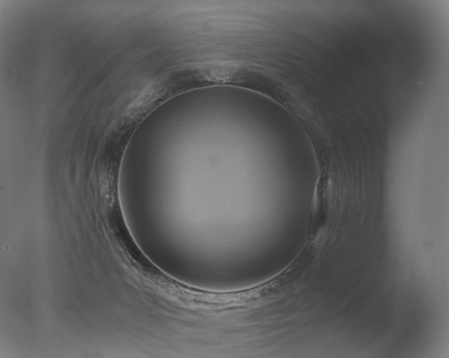 X0000077360031200610201334