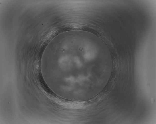 X0000077360032200610201334