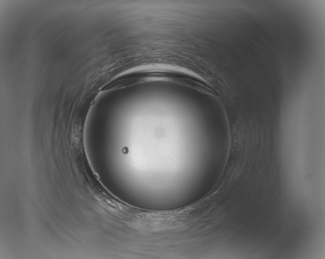 X0000077360033200610201334