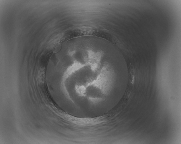 X0000077360034200610201334