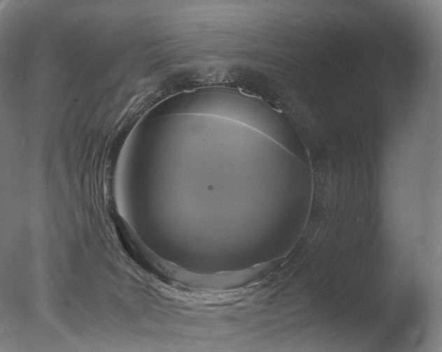 X0000077360035200610201334