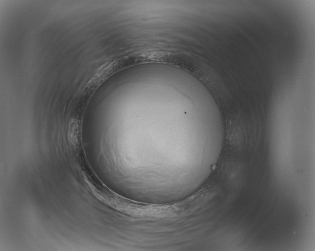 X0000077360036200610201334