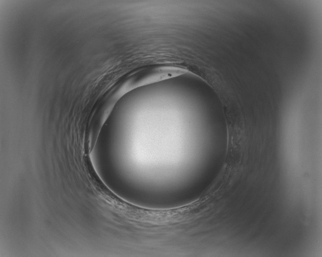 X0000077360037200610201334