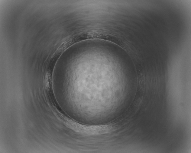 X0000077360038200610201334