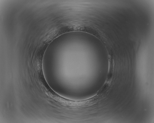 X0000077360039200610201334