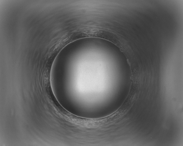 X0000077360040200610201334