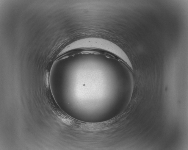 X0000077360041200610201334