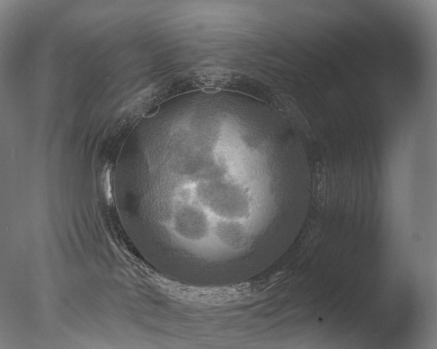 X0000077360042200610201334