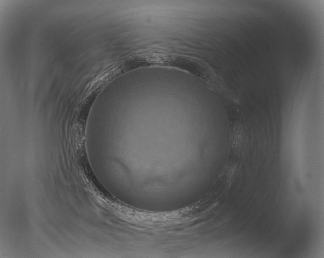 X0000077360043200610201334