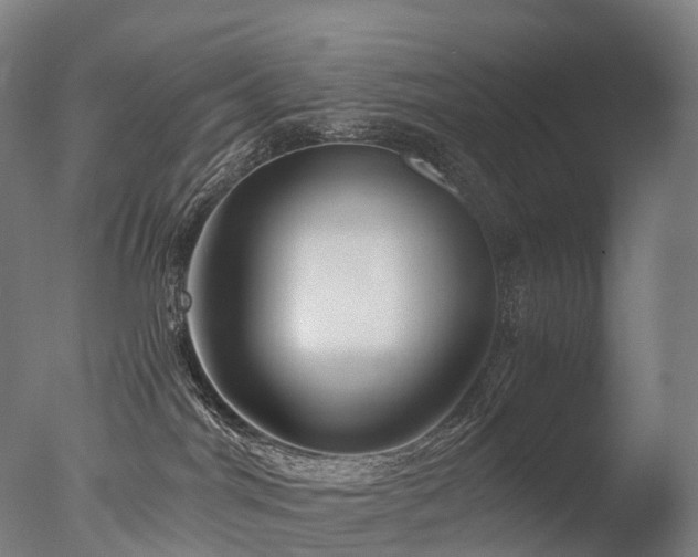 X0000077360044200610201334