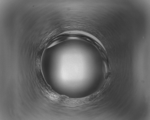 X0000077360045200610201334