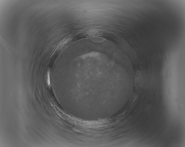 X0000077360046200610201334