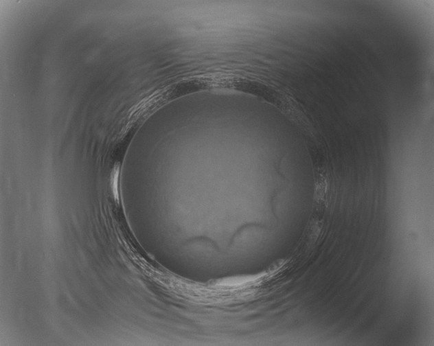 X0000077360047200610201334