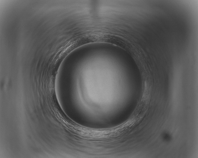 X0000077360048200610201334