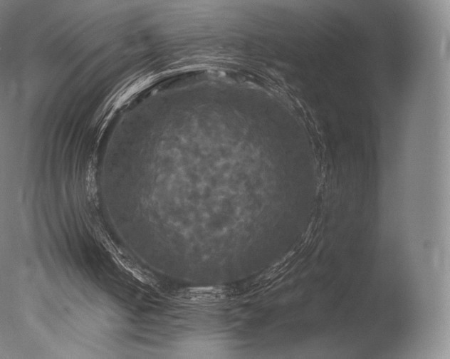 X0000077360050200610201333