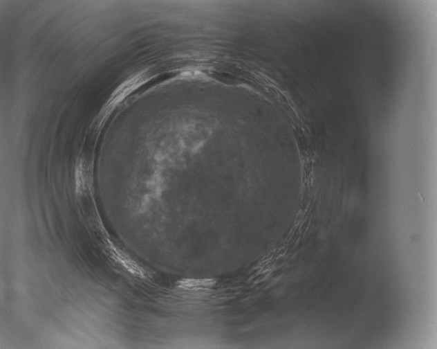 X0000077360051200610201333