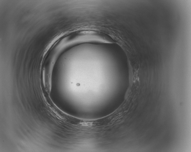 X0000077360052200610201333