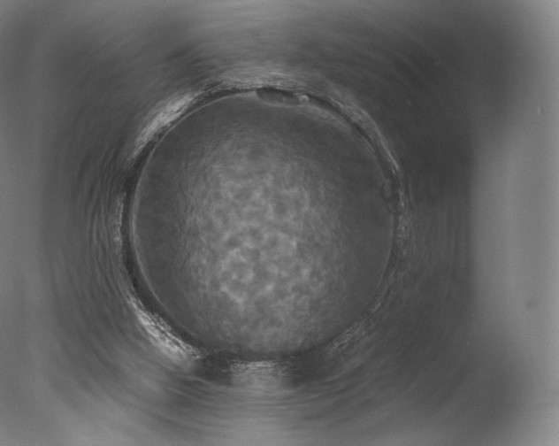 X0000077360058200610201333