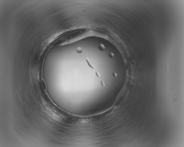 X0000077360060200610201333