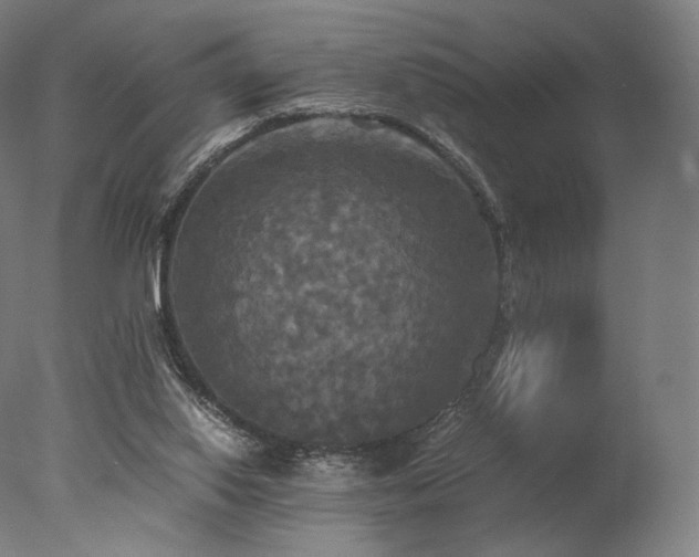 X0000077360062200610201333