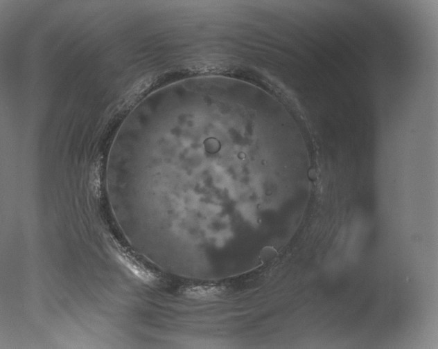 X0000077360065200610201333