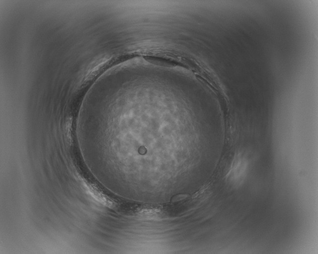 X0000077360066200610201333