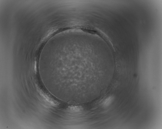 X0000077360067200610201333