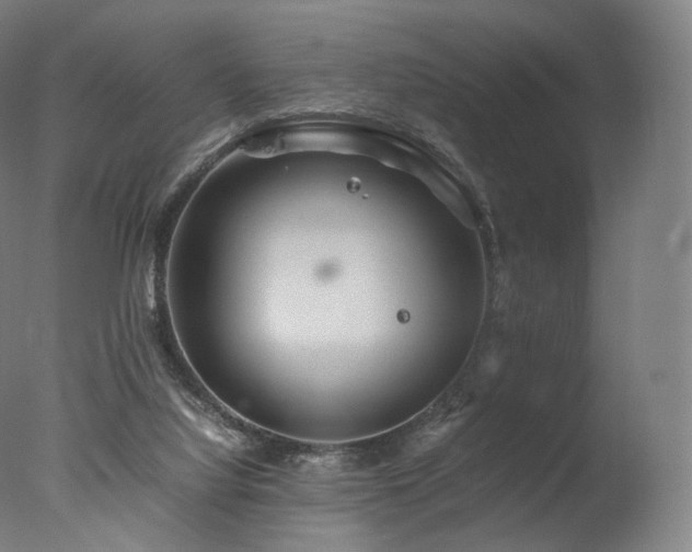 X0000077360068200610201333