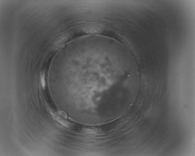 X0000077360069200610201333