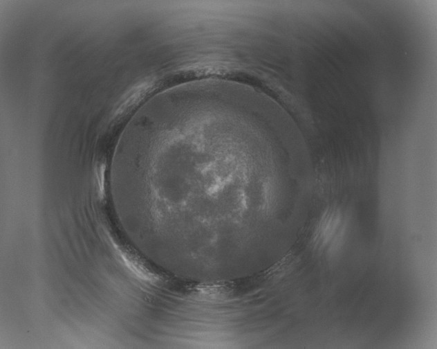 X0000077360070200610201333