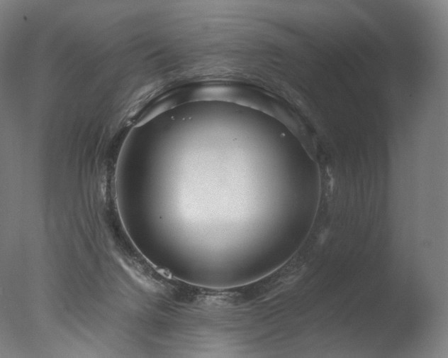 X0000077360072200610201333