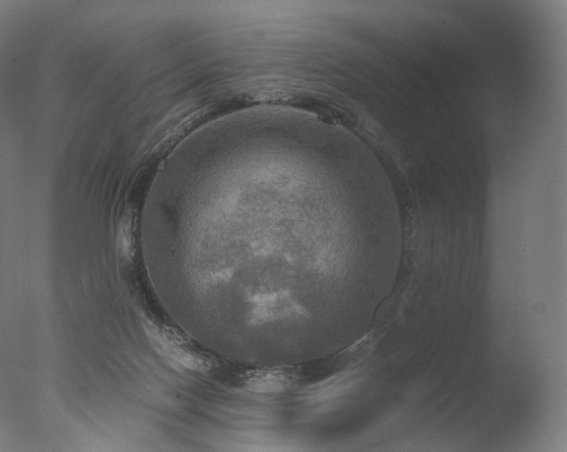 X0000077360074200610201333