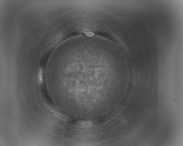 X0000077360075200610201333