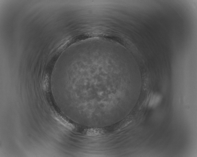 X0000077360077200610201333