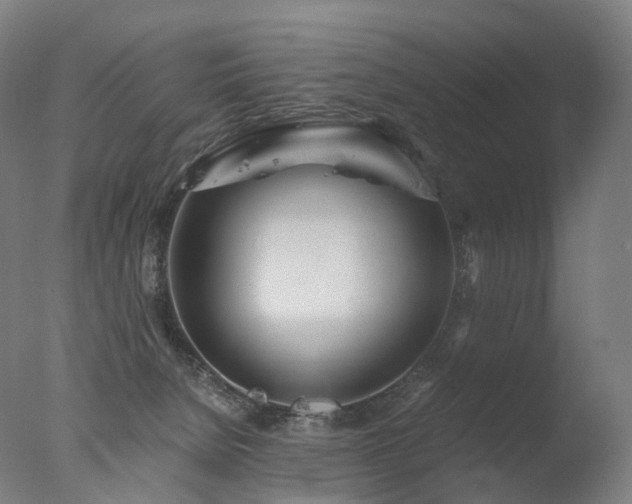 X0000077360080200610201333