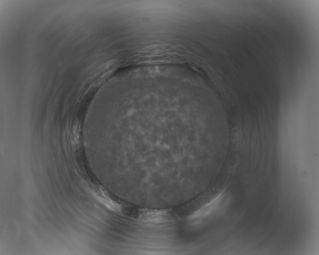 X0000077360081200610201334