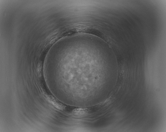 X0000077360082200610201334