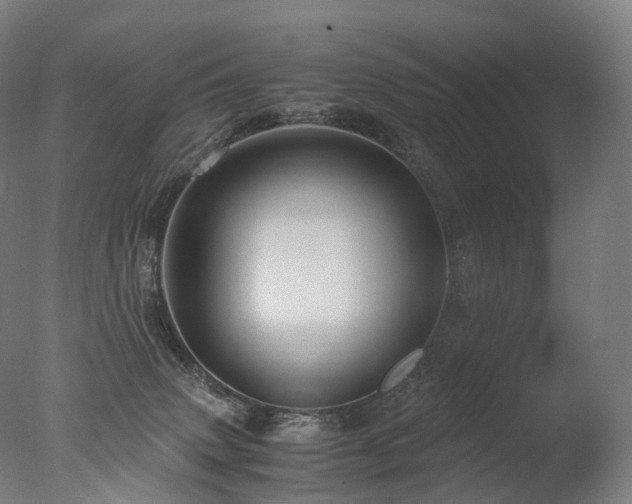 X0000077360083200610201334