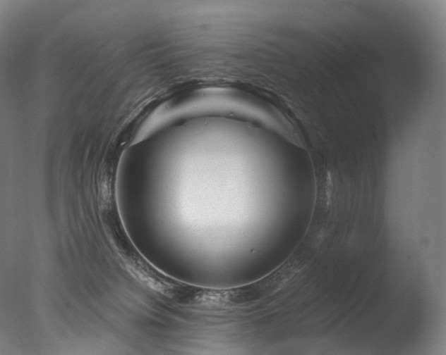 X0000077360084200610201334