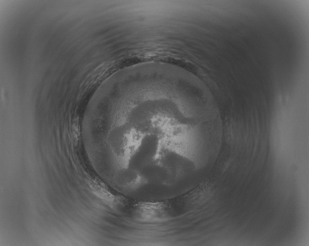 X0000077360085200610201334