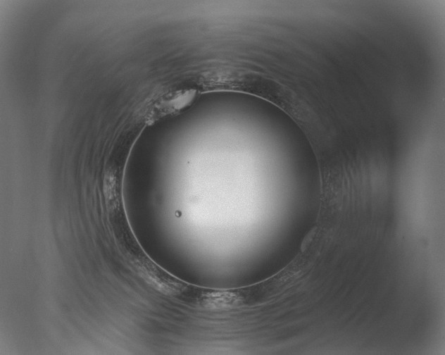 X0000077360087200610201334