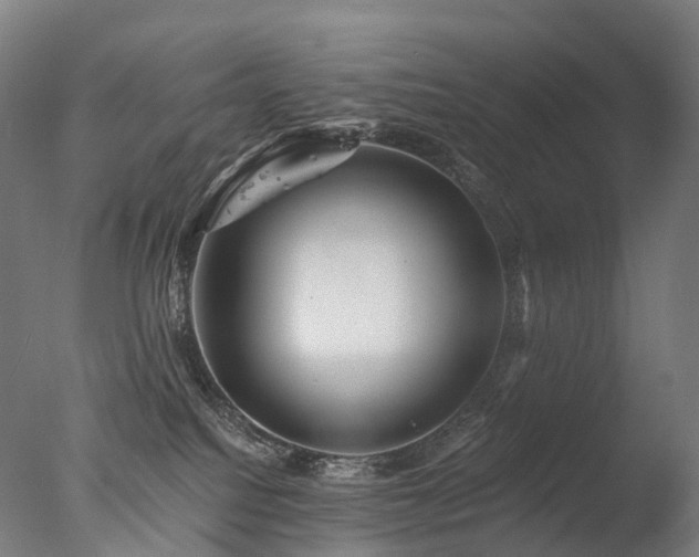 X0000077360088200610201334