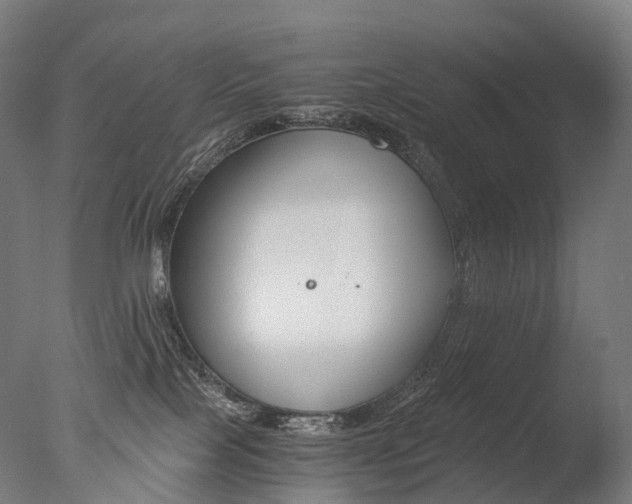 X0000077360089200610201334