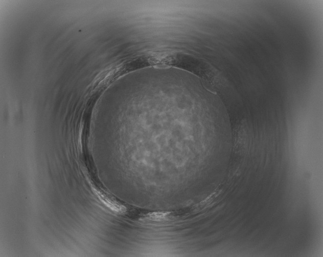 X0000077360090200610201334