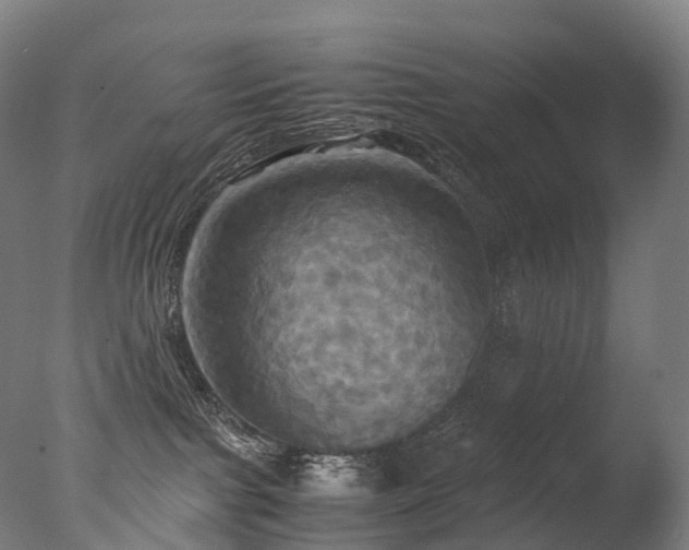 X0000077360091200610201334