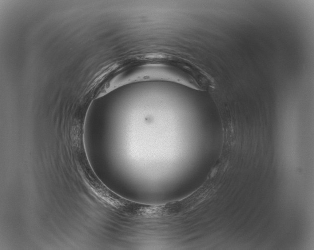 X0000077360092200610201334