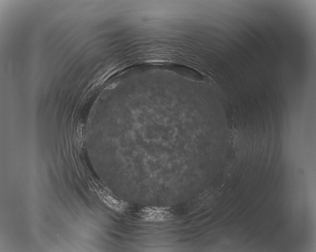 X0000077360093200610201334