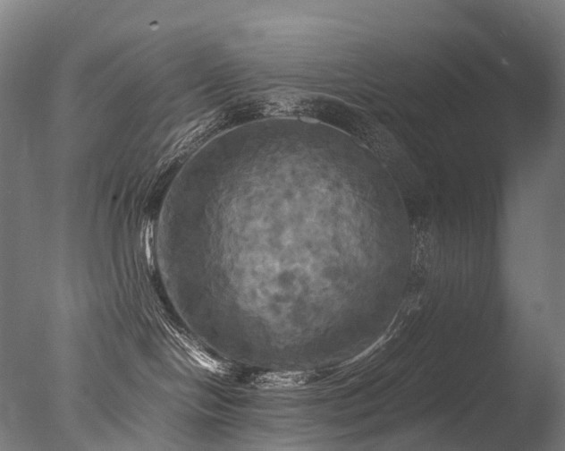 X0000077360094200610201334